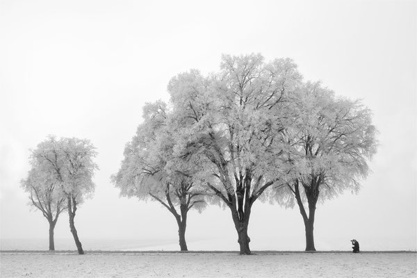 Winterfotografen on Tour