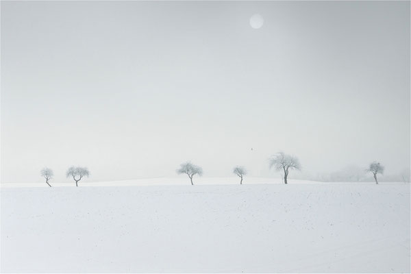 Mecklenburger Winterlandlandschaft