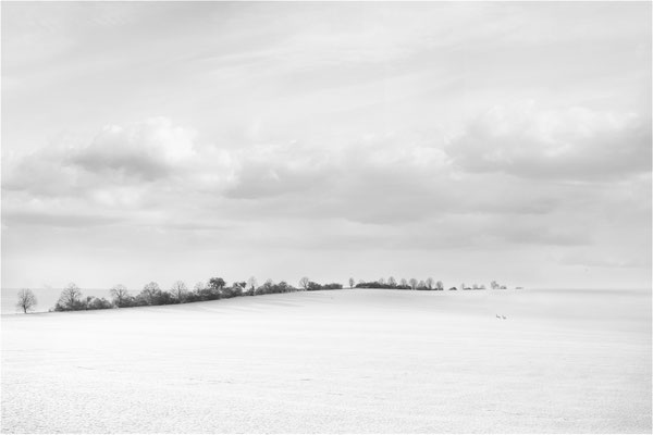 Winterland
