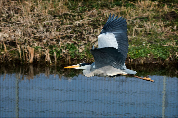 Vorbeiflug