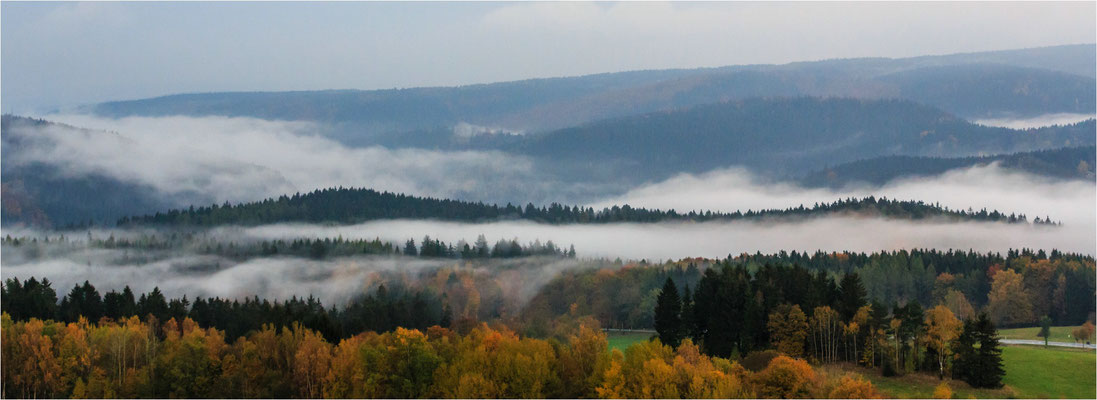 Bunt gegen Grau