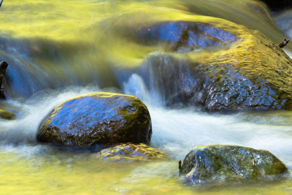 im Fluss