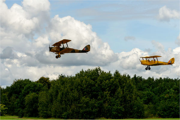Tiger Moth Duo