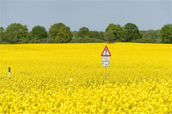 mitten in Gelbland