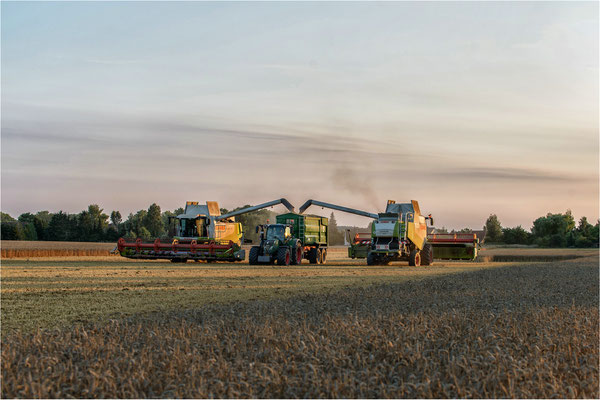 Ernte-Technik