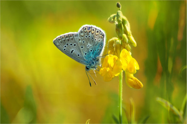 Sommerzeit