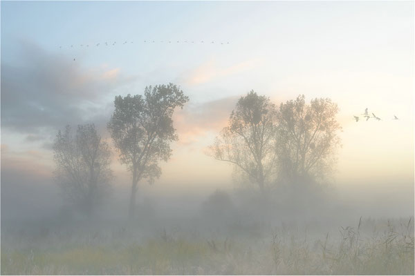 Sonnenaufgang am Galenbecker See