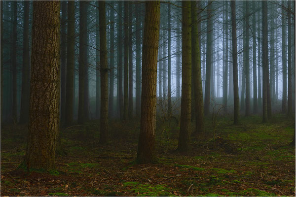 Der Nebel weicht