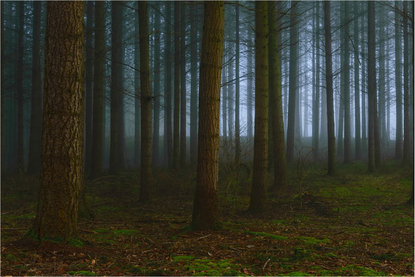 Der Nebel weicht