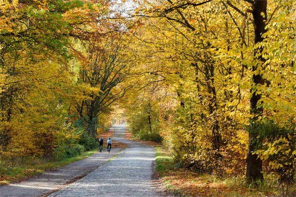 Herbstfreuden