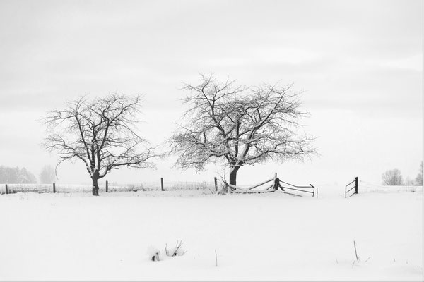 Winterlandschaft