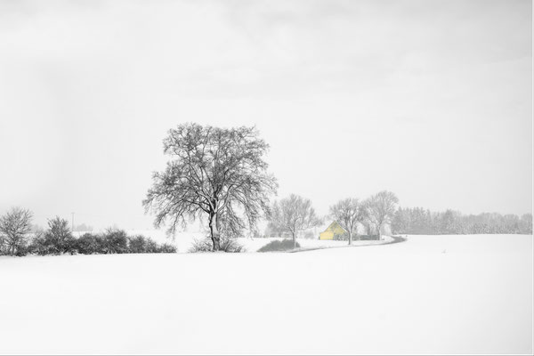 Mecklenburger Winterlandlandschaft