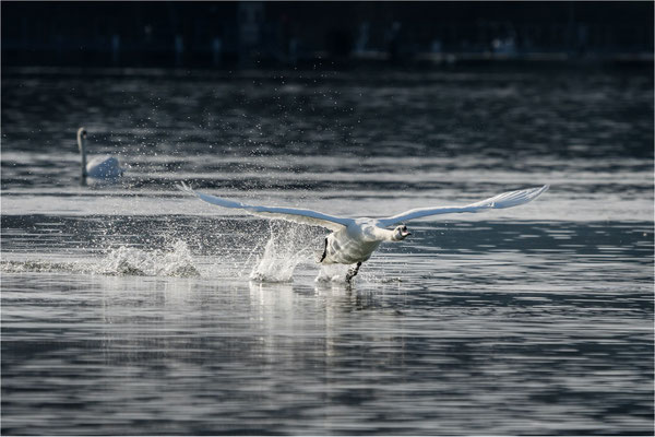 Take off