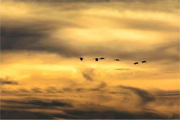 über den Wolken