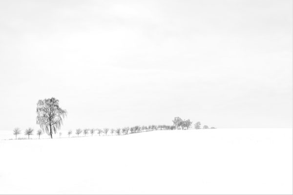 Mecklenburger Winterlandlandschaft