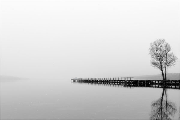 am Tollensesee