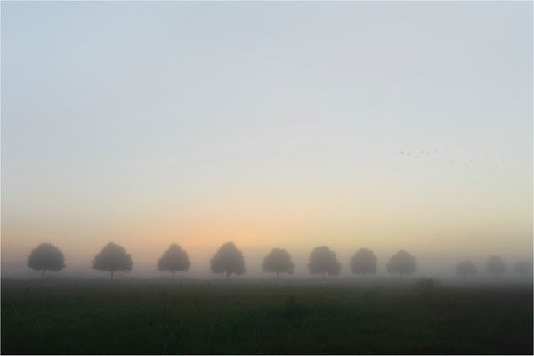 früh am Morgen