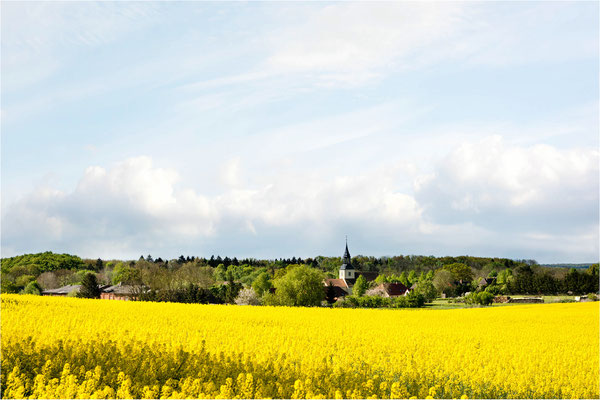 Rapslandschaft bei Schwandt