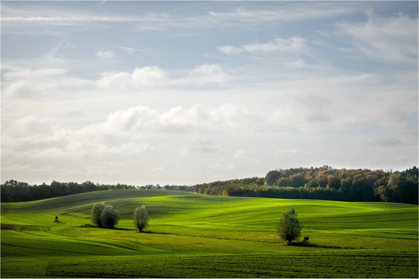 Hügellandschaft