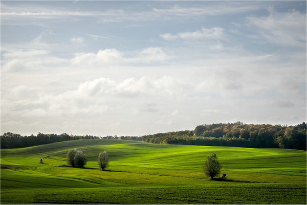 Hügellandschaft
