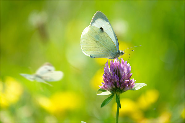 Sommerzeit