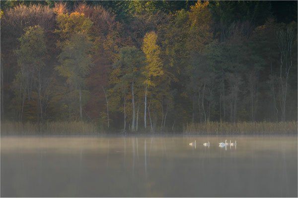 Herbstfarben