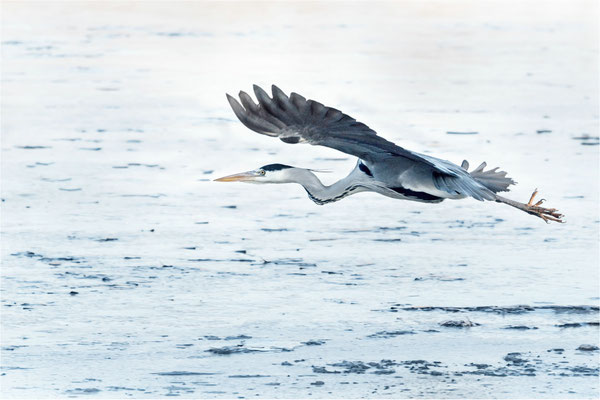 Vorbeiflug