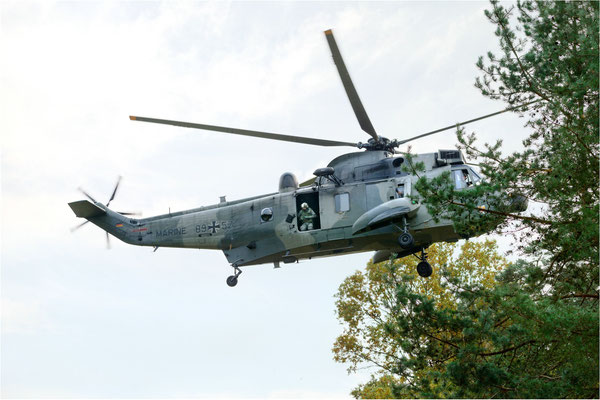 Sea King