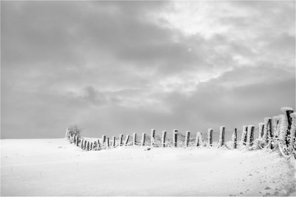 Winterland