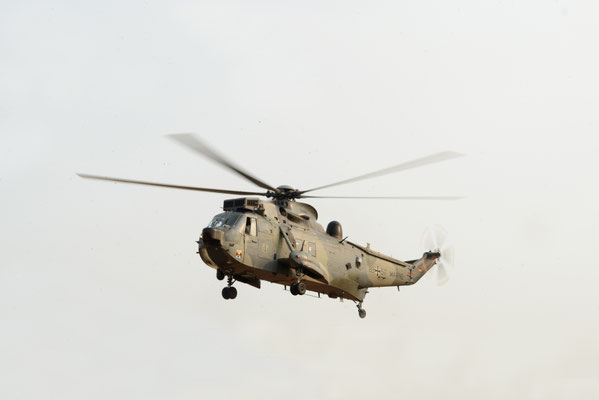 Sea King