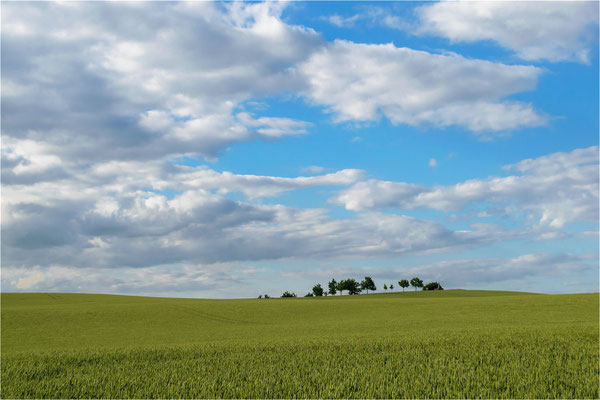 Baumreihe mit Obelisk