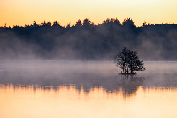Tister Bauernmoor 007