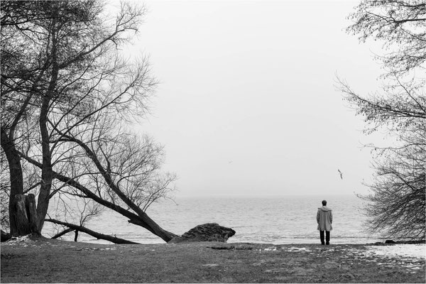 am Tollensesee