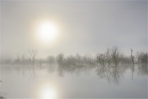 am Galenbecker See