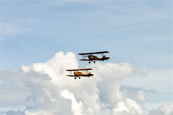 Tiger Moth