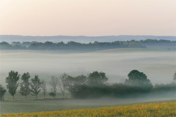 Septembernebel