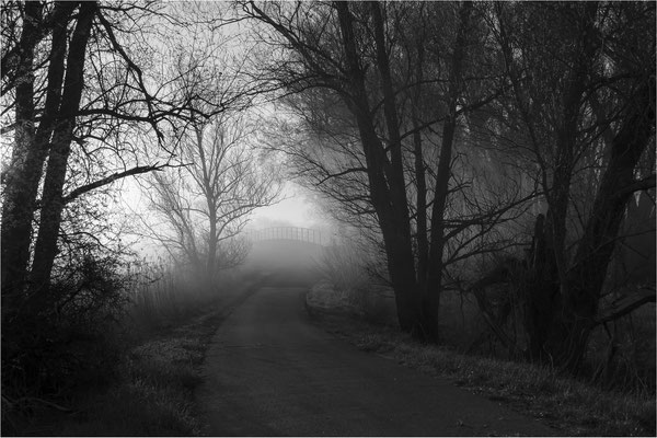 Brücke im Nebel