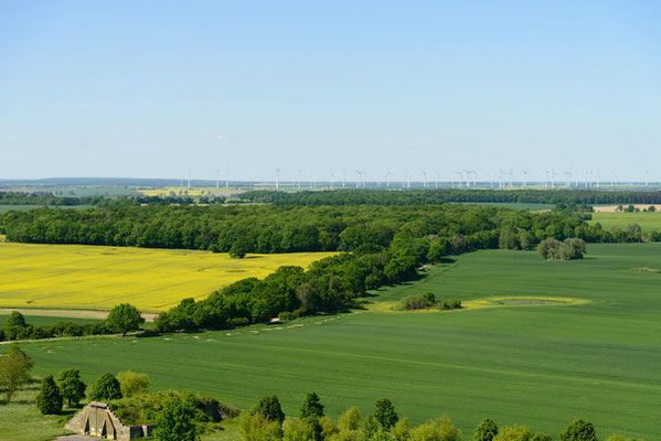 im Hintergrund die Windkraftanlagen bei Grapzow