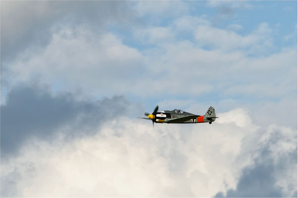Fw-190 A8N