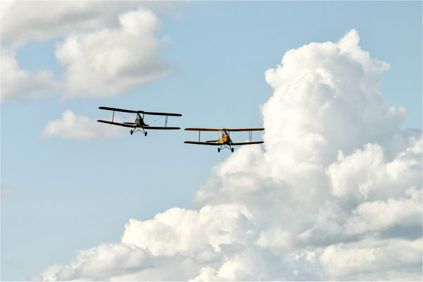 Tiger Moth