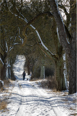 Winterspaziergang