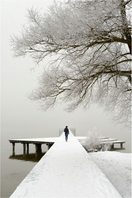 am Tollensesee