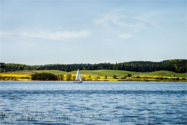 am Kummerower See