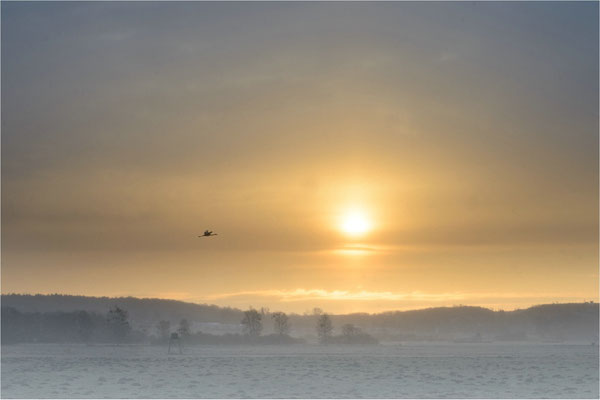 Frühnebel im Tollensetal