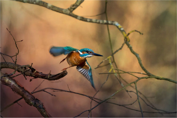 Abflug