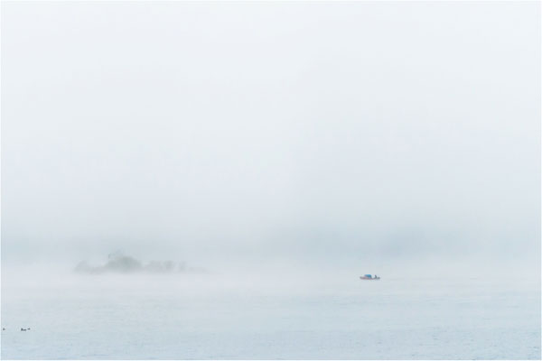 Frühnebel am Tollensesee