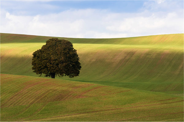 Penzliner Landschaft