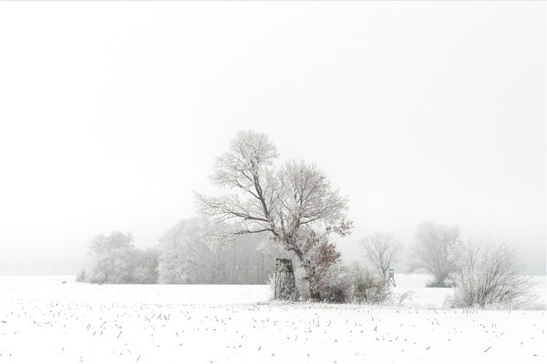 Mecklenburger Winterlandlandschaft