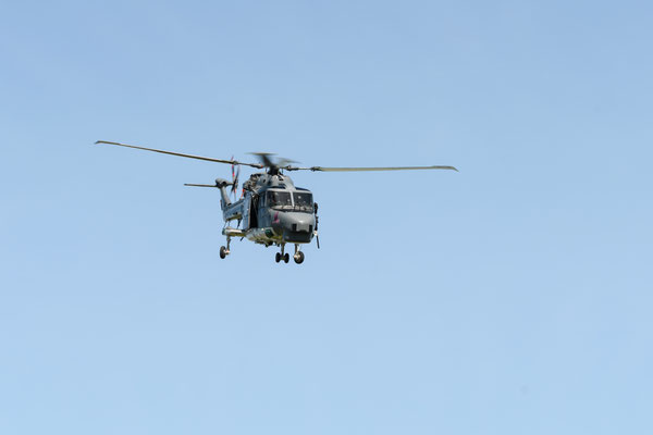 Sea Lynx