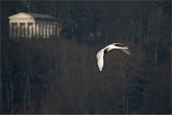 Vorbeiflug